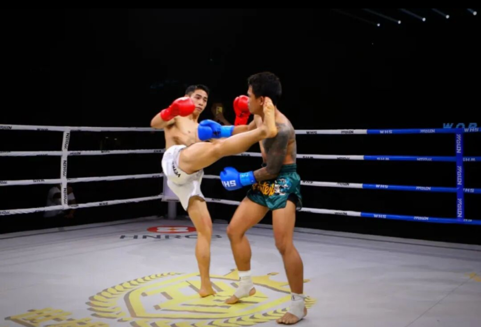 是中国, 拳法和灵活, 他代表着欧