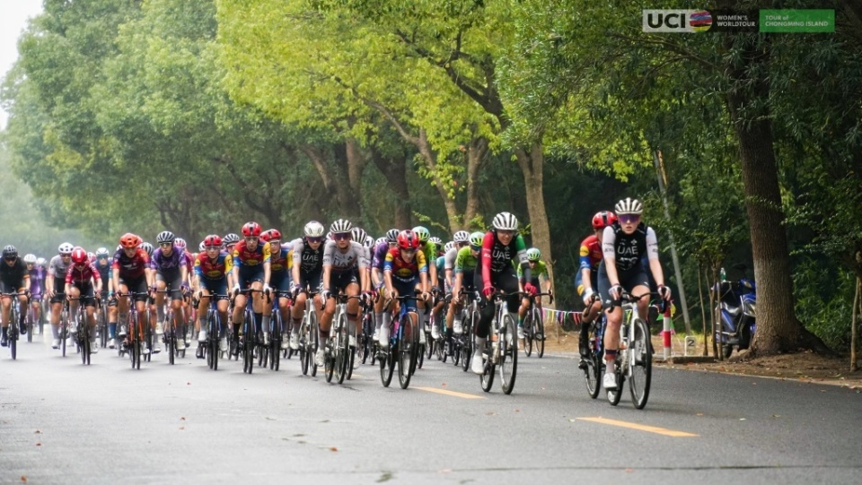 俞永峰告诉, UCI