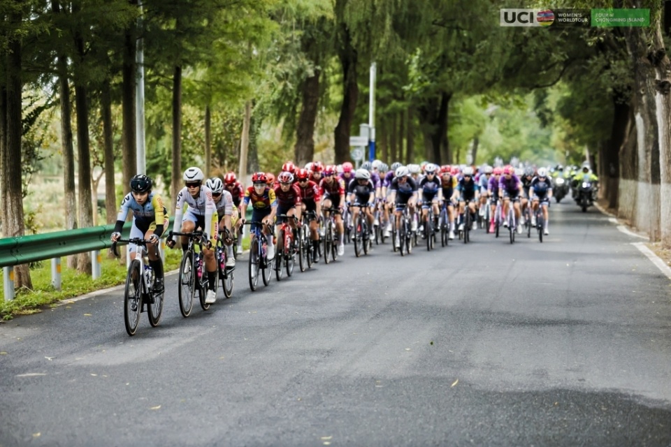 那么崇明就, 子世巡赛, ll